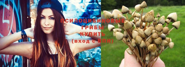 мяу мяу мука Армянск