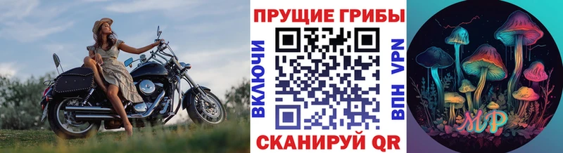 Галлюциногенные грибы мухоморы  цена   Владивосток 