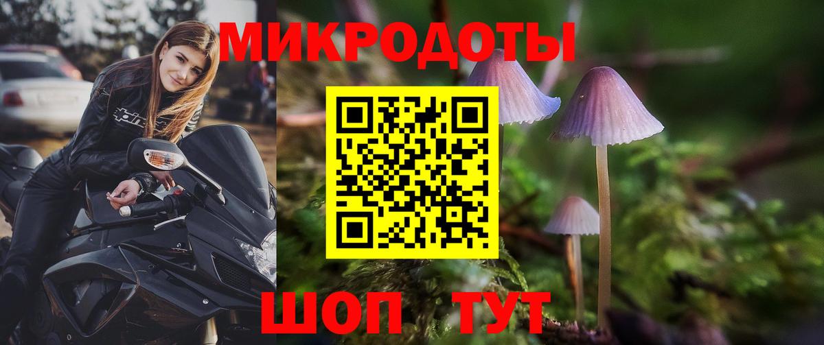 Владивосток  Псилоцибиновые грибы MAGIC MUSHROOMS  Псилоцибиновые грибы MAGIC MUSHROOMS  хочу наркоту  Вход с VPN 