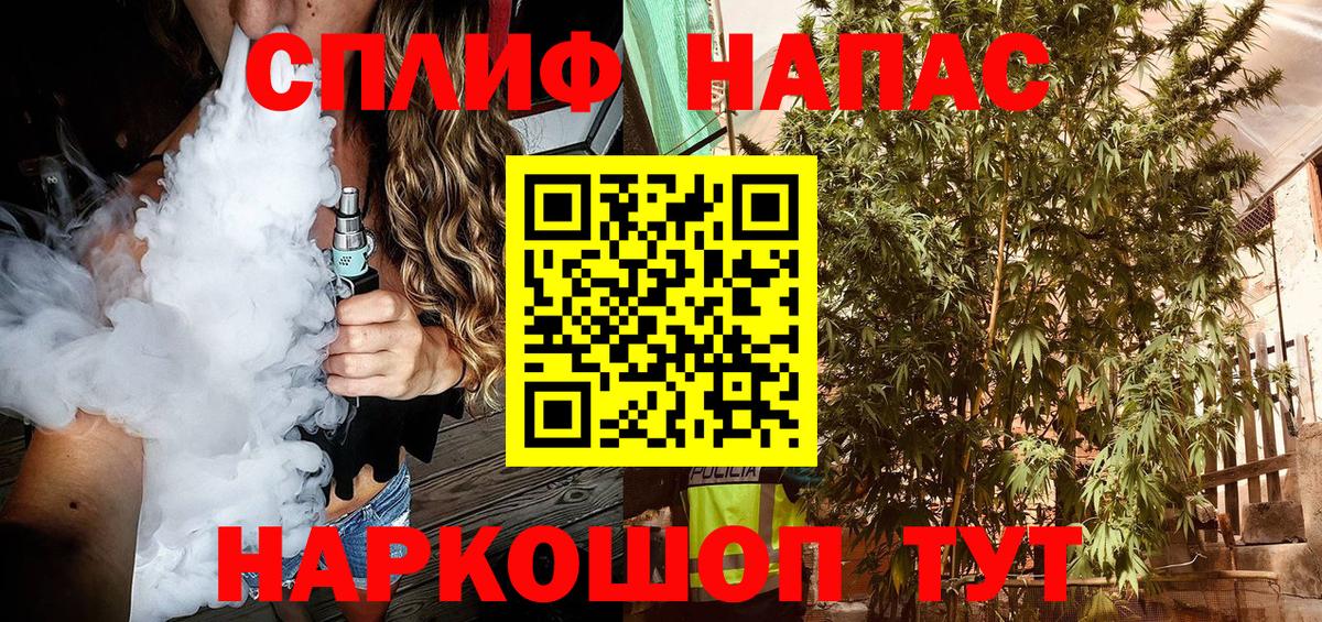 Марихуана конопля Владивосток